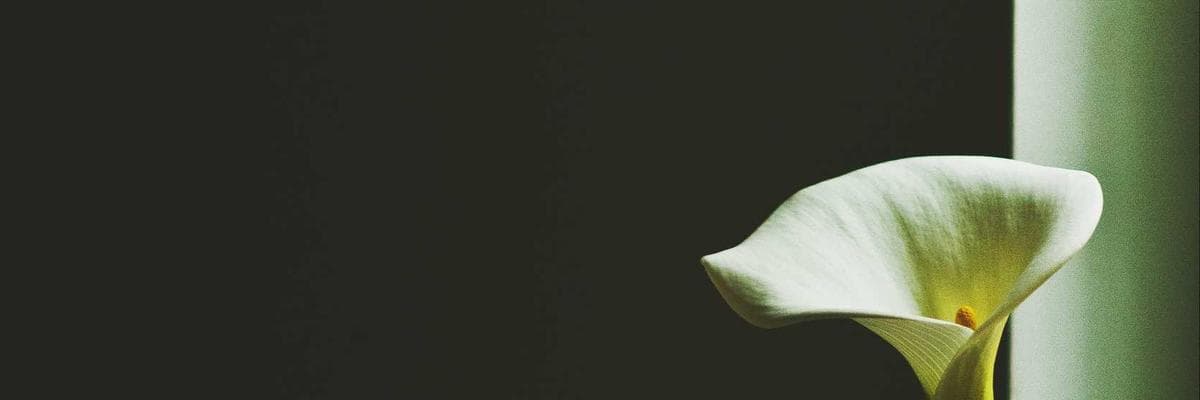 Scenic view of Goa beach at sunset